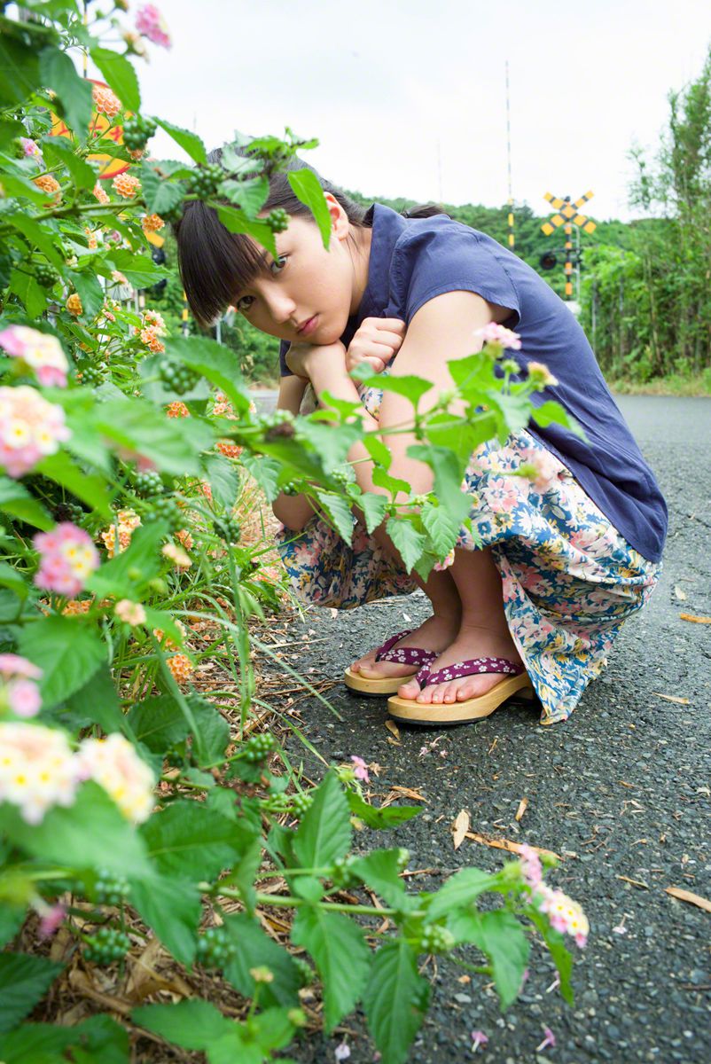 一场雾里看花